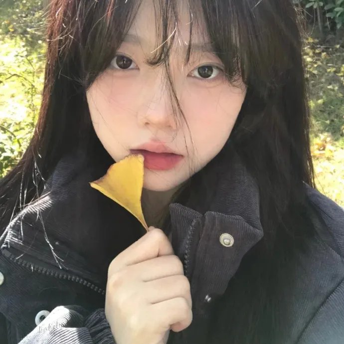 寻宝游戏